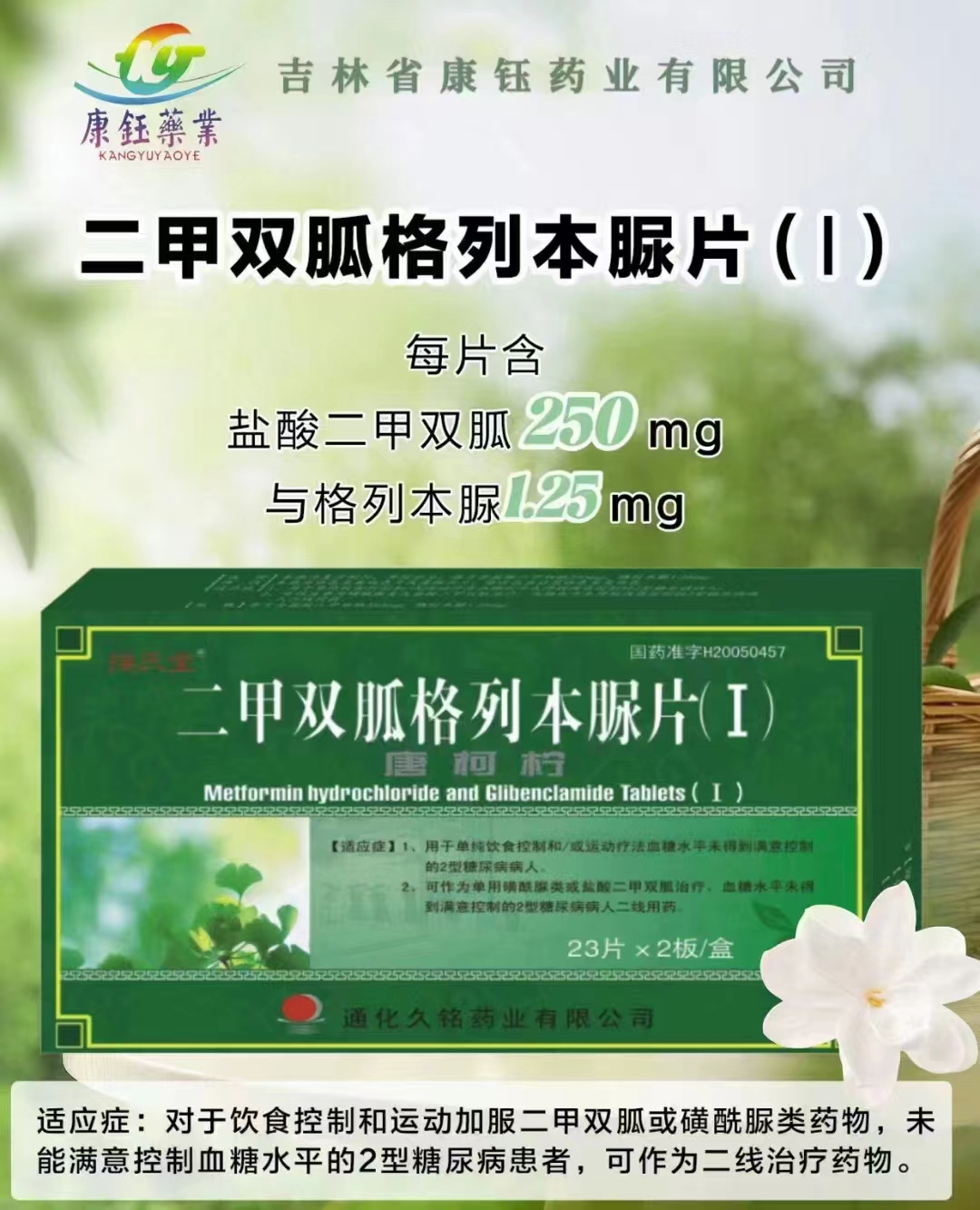 二甲双胍格列本脲片（I）